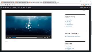 Easy Video Player Plugin for WordPress [upl. by Ahsikahs866]