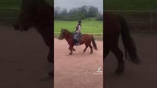 horsing horse equestrian horseing po pferde pferdem riding pferdesport horseriding [upl. by Ecarg]