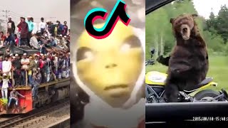 New Funny Viral TikTok Meme  Patlamaya Devam TURKISH SONG amp Russian MEMES Alien Dank Meme [upl. by Jarred]