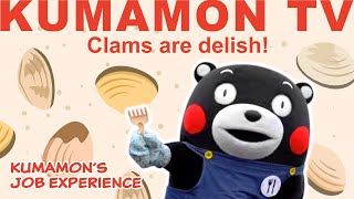 【Kumamon TV】Kumamon Work Expereince Series  Clams are delish [upl. by Flo]