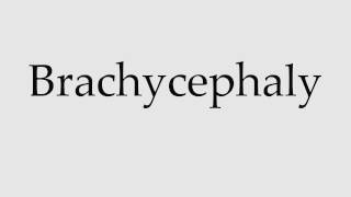 How to Pronounce Brachycephaly [upl. by Eceinaj]