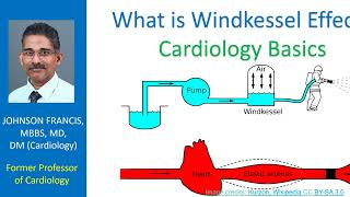 What is Windkessel effect Cardiology Basics [upl. by Inihor]