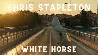 Chris Stapleton  White Horse Unofficial Music Video [upl. by Aninad]