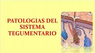 PATOLOGIA DEL SISTEMA TEGUMENTARIO [upl. by Oinigih161]