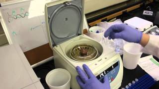 Using a Centrifuge [upl. by Rotce]