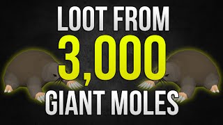 OSRS Loot From 3000 Giant Moles Includes Useful Calcs [upl. by Gambrell556]