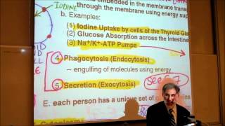 BIOLOGY CYTOLOGY PART 2 by Professor Fink [upl. by Peta850]