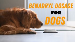 Benadryl Dosage For Dogs Guide [upl. by Cnahc787]