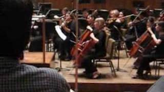 Shostakovich Sinfonia for Strings Op 110  Mov II amp III [upl. by Droffilc]