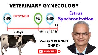 Unlocking the Secrets of Animal Breeding The Technology Behind Estrus Synchronization [upl. by Ettelorahc658]