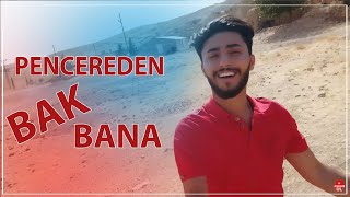 Baran Bari  Pencereden Bak Bana 2020 [upl. by Mahda19]