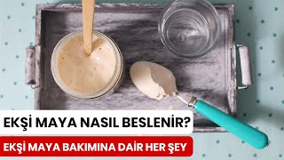 Ekşi Maya Nasıl Saklanır Nasıl Beslenir Nasıl Kullanılır [upl. by Batista]