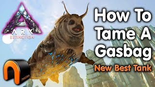 ARK Extinction HOW TO TAME A GASBAG Kibble After Patch [upl. by Anitsrihc248]