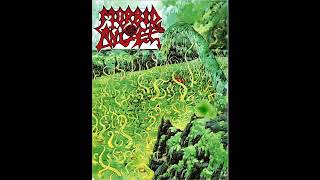 Morbid Angel  Where The Slime Live A Standard Tuning [upl. by Edyaj]