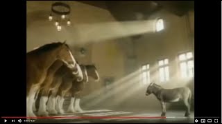 Budweiser Clydesdales Commercial Compilation [upl. by Onoitna]