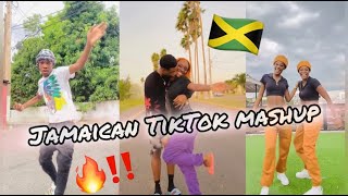 NEW JAMAICAN TIKTOK DANCE MASHUP 2024 [upl. by Manara]