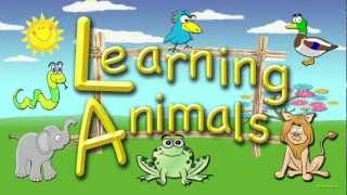 For Toddlers  Learning Animals An Educational Video for Preschoolers [upl. by Yolane275]