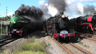 2023 Maitland Steamfest Great Train Race [upl. by Ailido]