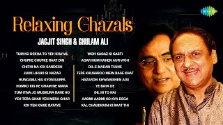 Relaxing Ghazals  Chithi Na Koi Sandesh  Dil E Nadan  Jagjit Singh Ghazals  Best Of Ghazal [upl. by Patt]