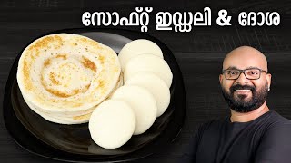 സോഫ്റ്റ് ഇഡ്ഡലി amp ദോശ  Soft Idli amp Dosa Recipe  Easy amp Perfect Idli Dosa Batter [upl. by Mahau]