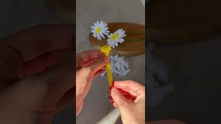 Diy marguerites éternelles 🌼 Vous aimez ce type dattention diy shorts cadeau gift flowers [upl. by Alahs]