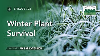 How Plants Survive Winter  From the Woods Today  Episode 192 [upl. by Ardnaz919]