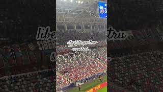 Peluza Sud Steaua ☠️ Libertate pentru suporteri shorts youtubeshorts reels ultras steaua [upl. by Marty]