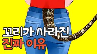 인간에게 꼬리가 없는 진짜 이유가 드디어 밝혀졌습니다 [upl. by Argent]