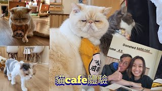 遊走荃灣 貓Cafe 貓奴 unclecheap 偽文青 晚餐 牛涮鍋 竟然唔係食牛 火煱放題 [upl. by Bendix308]