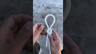 Emergency pet knot tying method teaching content inspiration search knot life helper [upl. by Nylsaj]