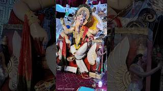 Tardeo cha Raja darshan 2024 [upl. by Alihet435]