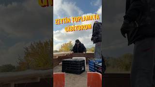 zeytin toplamaya gidiyorum [upl. by Segroeg]