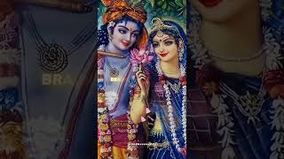 Tatvan Ke Tatva Jagjivan Shri Krishna Status 🌸 तत्वन के तत्व जग जीवन श्रीकृष्ण 🌿 shorts shortsfeed [upl. by Ydisahc]