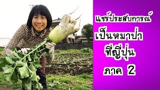 แชร์ประสบการณ์ เป็นหมาป่าที่ญี่ปุ่น 2 wwoof japan [upl. by Koenig961]