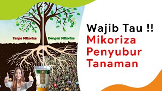 Peran Mikoriza Serta 5 Rekomendasi Produknya [upl. by Heringer]