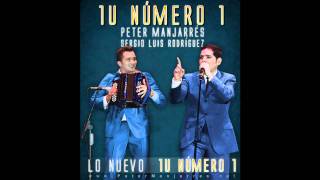 03 Destrozaste Mi Alma Acustico  Peter Manjarres [upl. by Tamberg]