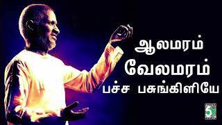 ஆல மரம் வேலமரம் பச்சை பசுங்கிளியே  Senthuram  Unnikrishnan  Ilayaraja [upl. by Atlee]