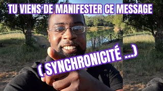 Tu as utilisé Ton POUVOIR pour MANIFESTER cette vidéo SYNCHRONICITÉ [upl. by Rezeile]