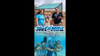 Energy Efficiency Case Study Wet’n’Wild Hawaii [upl. by Yelkrab405]