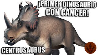 CURIOSIDADES DEL CENTROSAURUS ¿SE TIENE REGISTRO DE CÁNCER EN DINOSAURIOS [upl. by Sillyrama278]