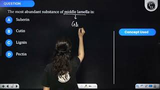 The most abundant substance of middle lamella is [upl. by Isobel]