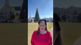 Alabama’s Biggest Christmas Tree is in Opelika opelika christmas christmastree alabama [upl. by Janeva]