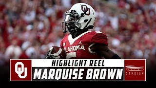 Marquise Brown Oklahoma Football Highlights  2018 Season  Stadium [upl. by Prosperus]