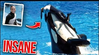 This Killer Whale Fatally Mauls Dawn Brancheau While Performing In Seaworld [upl. by Nahtnanhoj]