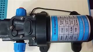 12v DC 80w Self Priming Diaphragm pump [upl. by Gnuh]