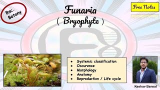 Funaria  Morphology  anatomy amp Life cycle  Bsc  Free PDF notes  by Viologia EXtrema [upl. by Anaya]