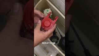 How to replace your toilet flapper [upl. by Moriyama]