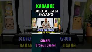 SERIBU KALI SAYANG  karaoke erbinuschanel hiburankaraoke shortvideo [upl. by Aronaele]