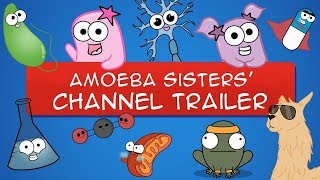 The Amoeba Sisters YouTube Trailer OLD VIDEO [upl. by Bernardo]