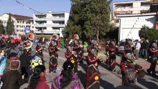 Fasnacht Möhlin Umzug [upl. by Camm]